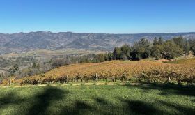 View from Smith Madrone on Spring Mountain