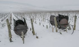 2brouettes in Richbourg,Vosne-Romanee