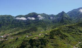 São Vicente Madeira vineyards