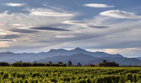 Greywacke's Clouston Vineyard, in Wairau Valley, New Zealand