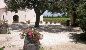 Ch St-Cyrgues winery