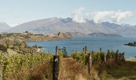 Rippon vineyards