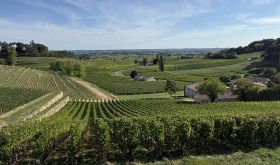 St-Émilion vinescape 17 September 2025