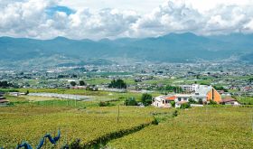 View over the Kofu basin from Fujiclair winery
