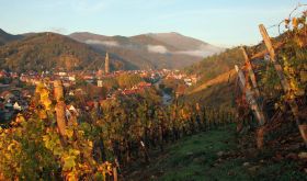 Village of Thann with the River Thur