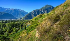 Alexandre Delétraz's (Cave des Amandiers) vineyards in Valais @ Leif Carlsson
