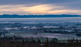 Mr Hood misty morning