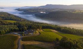 Penner-Ash vineyard