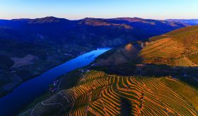 Quinta do Vesuvio aerial view