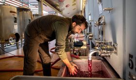 Alessandro Campatelli of Riecine