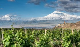 Mt Ararat overlooking vineyards