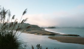 The Pacific ocean view from Flowers Vineyards 