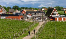 Kullabergs Vingård © Terra Skåne/Jan Kivissar