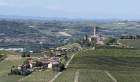 view towards Barbaresco