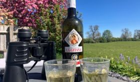 Glasses and a bottle of Sherry