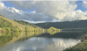Vineyards in the Mosel