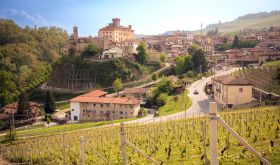 Barale estate and vineyards