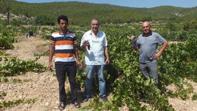Ali Ay middle owner of Tasheli winery seen with local growers of old Patkara vines