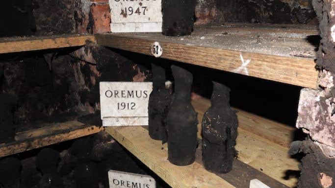 Ancient Oremus bottles in Tokaji, Hungary