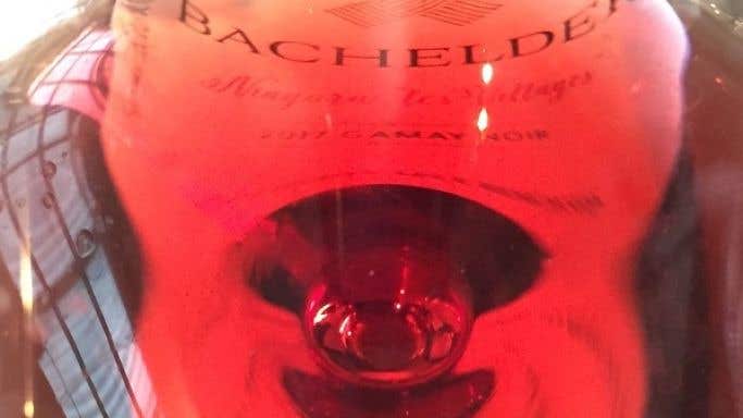 Ontario Gamay close-up from Bachelder