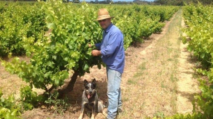 Charlie Whish and dog Juno with dry grown Grenache