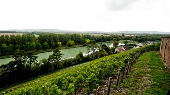Champagne Philipponnat's Clos des Goisses vineyard in Mareuil-sur-Ay