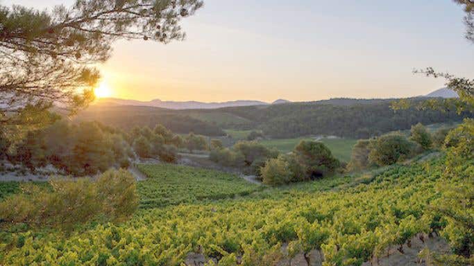Sunset at Domaine de Mourchon in the southern Rhone