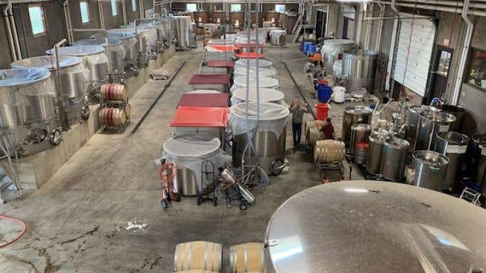 Red wine fermentations in a Willamette Valley winery, Oregon 2019