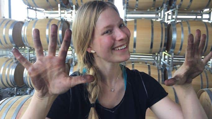 Dirty hands of Samantha Cole-Johnson in Willamette Valley winery 2019