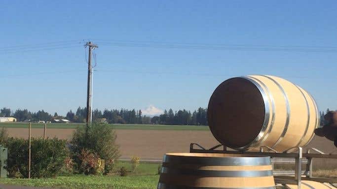 View from Willamette winery with Mount Hood in the background