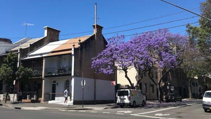Sydney street scene, spring 2019