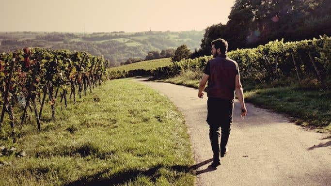 Johannes Jülg strides out into his vineyards on the Franco-German border