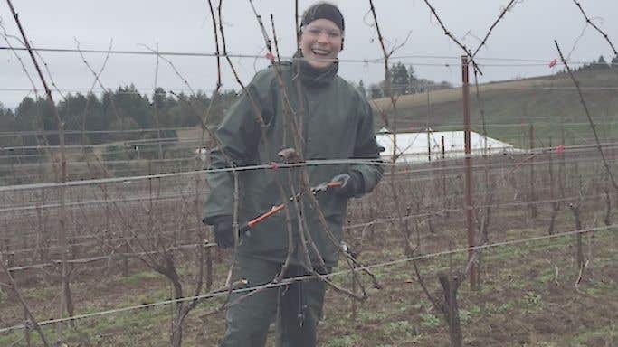 Samantha Cole-Johnson pruning in a Willamette vineyard