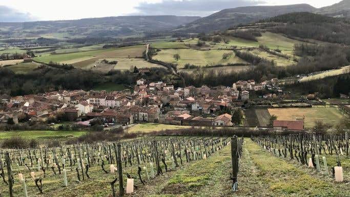 Vines sloping down to the village of Boudes