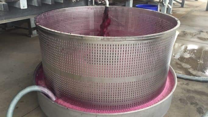 Basket press drained at a Baross Valley winery 2020