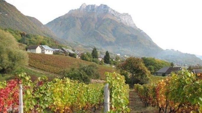 Mont Granier overlooking vineyards in Savoie