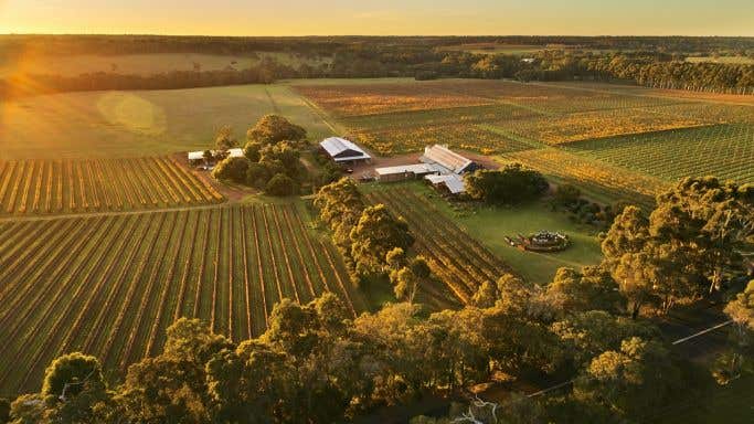 Cullen Wines drone view