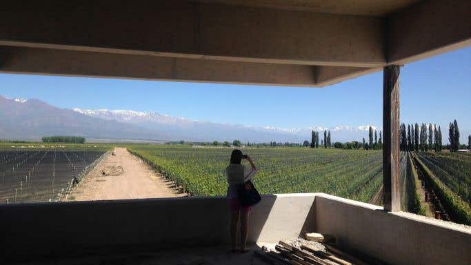 Zuccardi winery in Valle de Uco