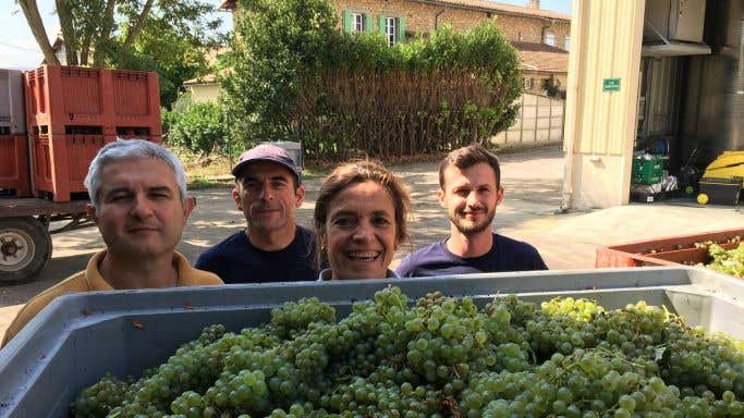 Antech - Francoise and her team at harvest