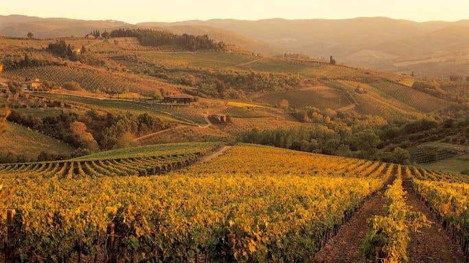 Fontodi and the Conca d'Oro vineyards below Panzano in Chianti Classico