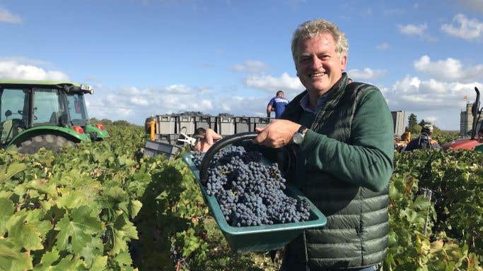Gavin Quinney with 2019 Beychevelle Cab Sauv grapes in a St-Julien vineyard