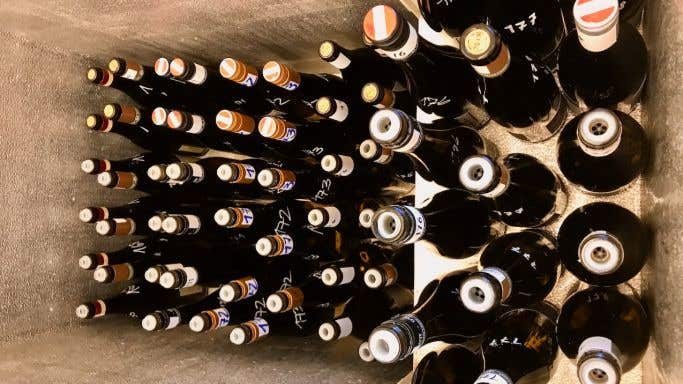 Grafenegg tasting bottles in cooler