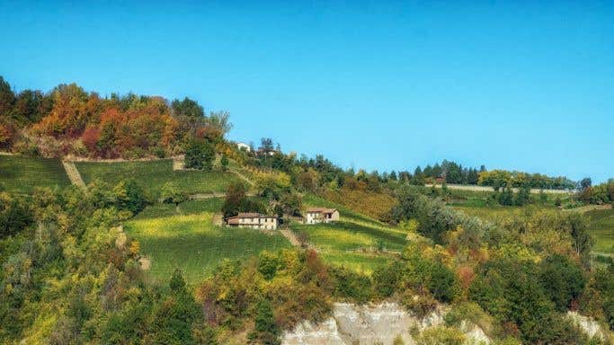 Le Strette's Pasinot vineyard of Nascetta in Piemonte