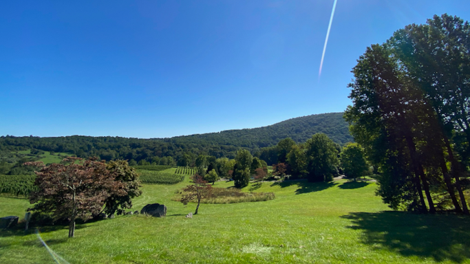 View from Linden Vineyards, Virginia, US