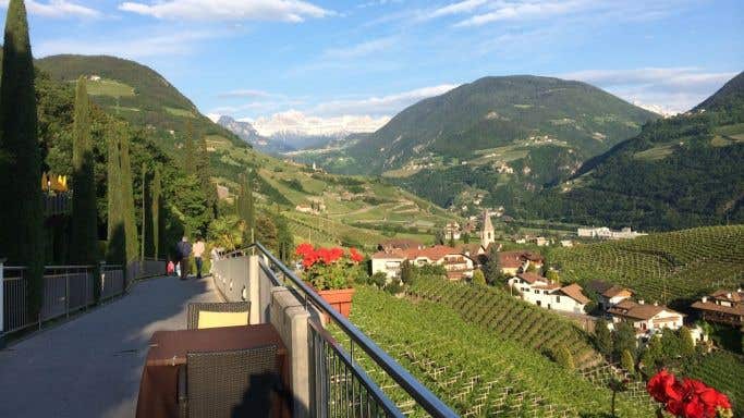 View over St Magdalener vineyards in Alto Adige