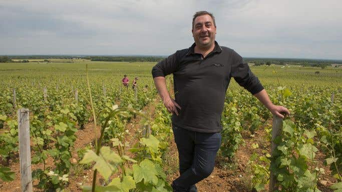 Sebastien Odoul in his Charmes-Chambertin vines