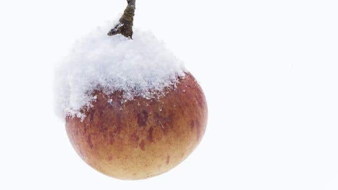 Snow on an apple