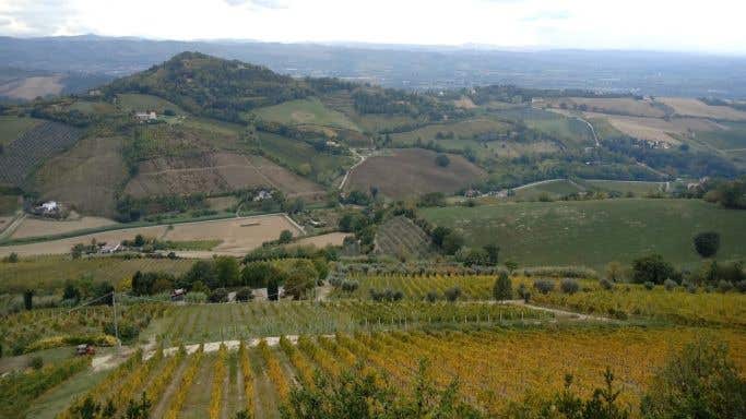 View from Bertinoro in Romagna
