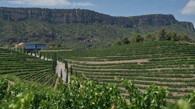 Torres Loar winery in Priorat, Catalunya