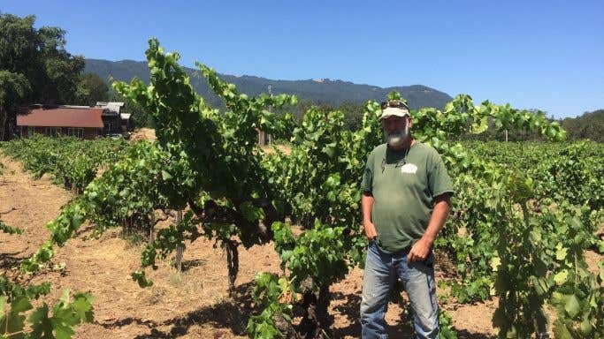 Will Bucklin, Sonoma vine grower